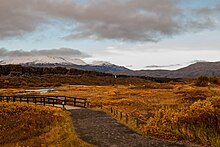 Þingvellir lake shore