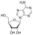 Chemical structure of Adenosine.