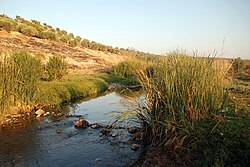 Среднее течение реки около 8 км южнее города Африн в 2009 году.