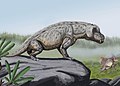 Anteosaurus (Dinocephalia)