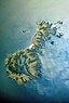 オークランド諸島、ニュージーランド