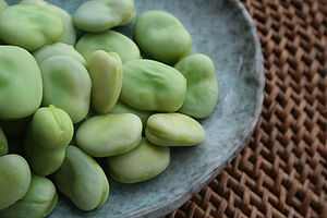Broad beans, shelled and steamed