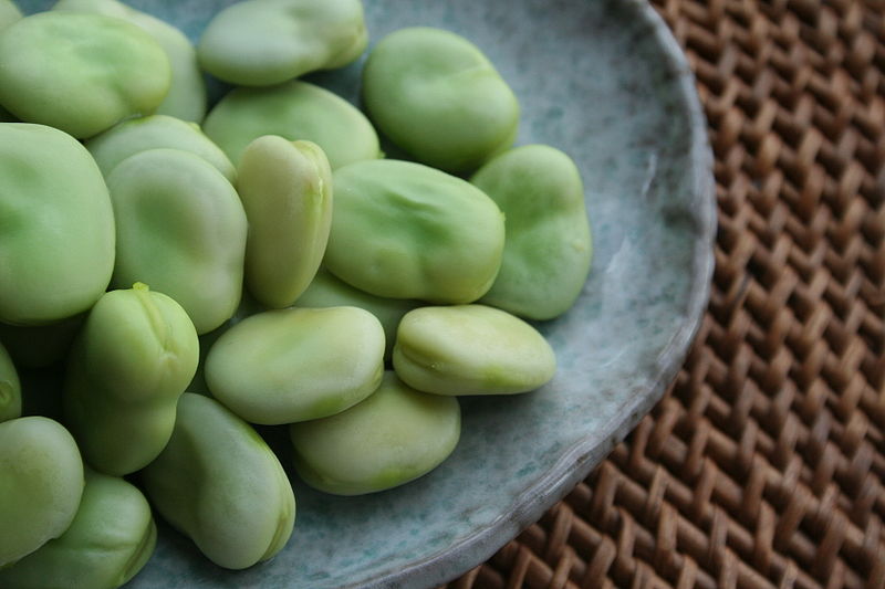 File:Broad-beans-after-cooking.jpg