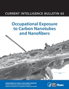 Current Intelligence Bulletin 65: Carbon Nanotubes and Nanofibers