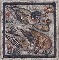 «Качки і селезні», давньоримська мозаїка з Помпей. Національний археологічний музей (Неаполь)