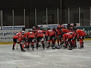 Die Roten Teufel v roce 2012.