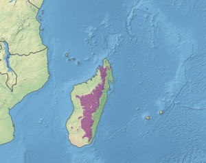 Map showing location of the subhumid forests ecoregion in the center of Madagascar
