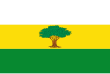 Vlag van Arroyohondo