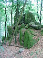 Eine ähnliche Wilde Frau-Sage verbindet sich mit dem Wildweibchenstein am Osthang der Germannshöhe bei Laudenau.