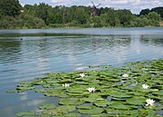 Lillsjön med Ulvsunda kvarn