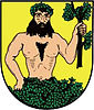 Coat of arms of Město Albrechtice