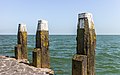 8. Kikötőoszlopok az IJsselmeerben, a Vlietermonument közelében (Afsluitdijk, Észak-Holland) (javítás)/(csere)