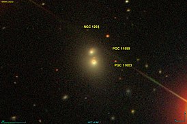 NGC 1203 SDSS.jpg