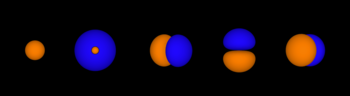 The shapes of the five orbitals occupied in nitrogen. The two colours show the phase or sign of the wave function in each region. From left to right: 1s, 2s (cutaway to show internal structure), 2px, 2py, 2pz. Neon orbitals.png