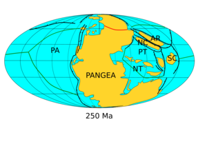 The supercontinent of Pangaea with the positions of the continents at the Permian-Triassic boundary, about 250 Ma. AR=Amuria; NC=North China; SC=South China; PA=Panthalassic Ocean; PT=Paleotethys Ocean; NT=Neotethys Ocean. Orogens shown in red. Subduction zones shown in black. Spreading centers shown in green. Pangea assembly 250.png