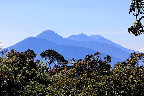 Blick von Westen aus dem Nationalpark Gunung Halimun. Im Bereich des Gebirges wurden die Entfernungen durch abgeschwächte Farben verdeutlicht. Am dunkelsten und damit am nächsten liegend sieht man den bogenförmigen nordwestlichen Kraterrand des erloschenen Pangrango (Junghuhn: G. Panggerango). Dahinter, in der Mitte, erhebt sich der Mandalawangi, mit 3019 Meter der höchste Gipfel des Massivs, mit dem südlichen Kraterrand des Pangrango (Junghuhn: G. Sela). Im Hintergrund erkennt man die Rückseite des aktiven Vulkans Gedé mit dem alten Kraterboden Alun Alun. Zum besseren Verständnis dieses Vulkanmassivs wird empfohlen, diese Ansicht mit der Karte „Gede“ zu vergleichen. Den Blick vom Gipfel des Mandalawangi auf den aktiven Krater des Gedé hat Junghuhn in seinem „Java-Album“ dargestellt: Siehe im Kapitel Java, seine Gestalt, Pflanzendecke und innere Bauart die farbig lithographierte Ansicht „Gunung-Gede“.