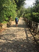 Camino de bajada del Monte Mario.