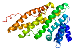 Protein PICALM PDB 1hf8.png