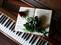 Rose on music book on piano