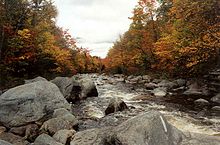 S Branch Carrabassett R at AT crossing.jpg