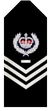 Sa-police-Senior-sergeant-first-class.png