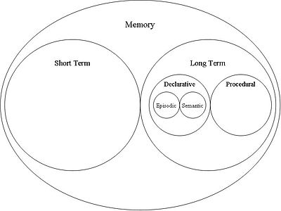 A basic schematic representation of memory showing the 'locations' of semantic and episodic memory. Schematic memory.JPG