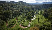 Miniatura para Reserva de la biosfera de Río Plátano