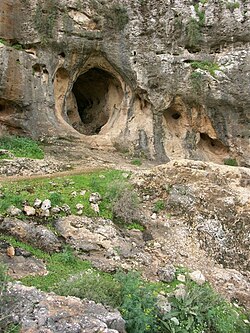 מערת הגדי, נחל מערות. הקבורות נמצאו בטרסה שלפני המערה