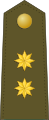 Испания (исп. Teniente Coronel)