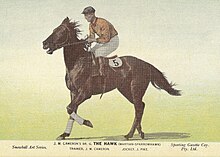 THE HAWK JOCKEY JIM PIKE.jpg