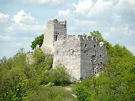 Tematín Castle (2795).jpg