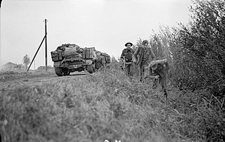 German prisoners are brought in along a ditch past universal carriers of 6th Royal Welsh Fusiliers during fighting around Hertogenbosch