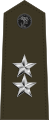 U.S. Marine Corps rank insignia of a major general.