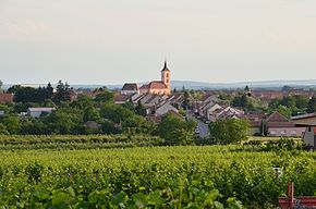 Velké Bílovice vazut din nord-est