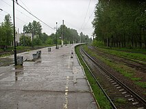 Платформа, вид в сторону Сестрорецка. 2010 год