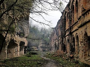 Тараканівський форт у селі.