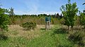 Stelle im Wald zwischen Albach und Lich, wo sich das US-Depot mit den nuklearen Sprengköpfen befand.