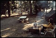 AZALEA CAMP GROUND AT DAWN - NARA - 542727.jpg