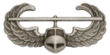 Air Assault Badge (Slim Version).png