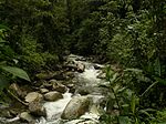 Miniatura para Río Anchicayá