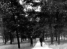 Первое известное фото кампуса 1910 г.