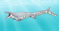 Tylosaurus proriger