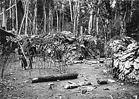 The pygmy settlement just south of Yokadouma, photographed in 1965.