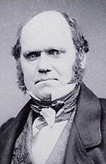Charles Darwin, father of the theory of evolution by natural selection.