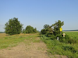 Поранешна внатрешна германска граница помеѓу Дехов во Мекленбург-Западна Померанија и Мустин во Шлезвиг-Холштајн, дел од природниот резерват Ланковер