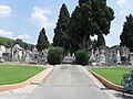 Entrée du vieux cimetière de Draguignan vu depuis l'entrée.