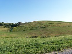 Meadow in the township