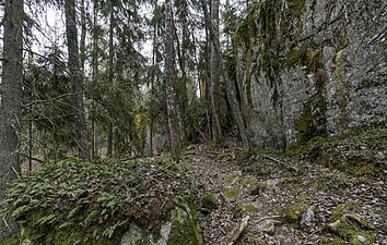 Klippvägg i naturreservatet Hemfallet.