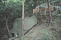 12/24 磐船神社 (河南町) の磐船