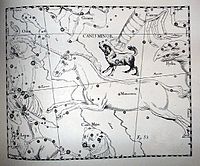 Созвездие Малого Пса (выше и чуть правее центра) в атласе звёздного неба Яна Гевелия, 1690 год